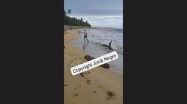 Hilarious Fishing Fails & Unexpected Catches in the Dominican Republic!