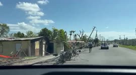 Jamaica: Relief Teams Rush To Save Animals Devastated By Hurricane Melissa
