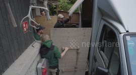 Austria: Giant Grazers Set Loose To Restore Wild Habitats In Austria