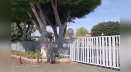 Spain: Giant Vulture Rescued After Getting Trapped Near Airport