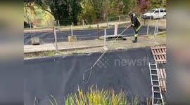 Italy: Roe Deer Rescued After Falling Into Treatment Tank