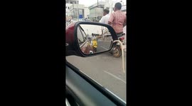 Driver shocked as snake emerges from car's wing mirror