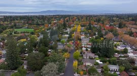 Fall foliage in Stanford and Palo Alto of California