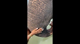 Elephant Mum Blesses Human Mum! 

credit: (@riarockyexplores)