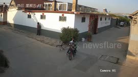 Two children tumble into plants after bicycle collision in Shandong, China