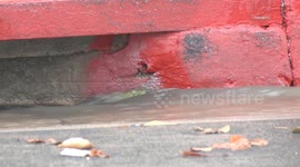 US, Los Angeles: Lancaster Antelope Valley Daytime Rain