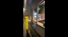 Malamutes Drive-thru Birthday  Pup Cups Adventure: Starbucks Magic!