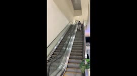 When Liquid Courage Meets a Broken Escalator