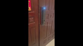 Clever dog opens door in Henan, China