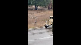 Atmospheric River Drops Heavy Rain as Turkey Walks the Slushy Street