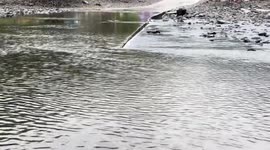 Kitten rescued from floodwaters in Anhui, China