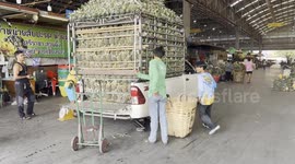 Pineapple Juggling at Pathumthani Market, No Gloves, All Skill, Pineapple Unloading Magic