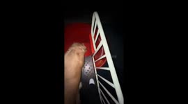 Golden retriever jumps off slide and lands on owner in Anhui, China