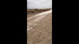 Flash flood sweeps through Anza-Borrego Desert in California, USA