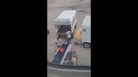 Airport staff in Brazil seen hurling cases from plane into baggage cart