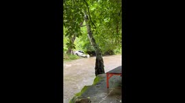 Brave driver powers his way through fast-flowing mountain stream