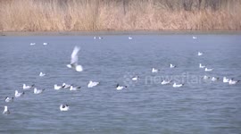 China: China builds world's largest water conservancy infrastructure network over past 5 years