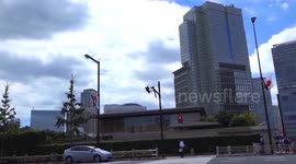 Japan: Japan to suffer huge economic loss from plunge in Chinese visitors: analyst