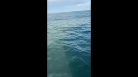 Fishermen floating at sea for two days amid typhoon rescued in Vietnam