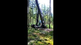 John Deere 1270G with Waratah Head – Spruce Stand Maintenance in Mountain Terrain