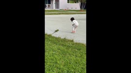 Me (James) and my Daughter (Sunshine) were just on a walk and spotted what we thought to be a dead