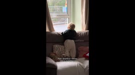 Cute moment toddler calls out window to grandad after he is '1 minute' late
