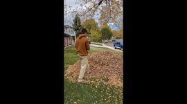 Cat Is Displeased By Massive Leaf Pile