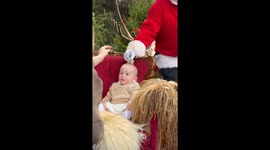 Reindeer Eats Food From Kiddo's Head