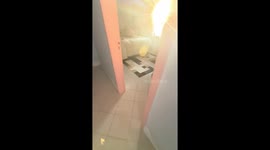 My Sheep Invaded My Bedroom