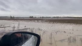 Italy: Heavy Rain Causes River to Overflow, Rescue Underway in Friuli Venezia Giulia Region