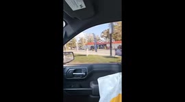 Running Deer Keeps Pace With Car