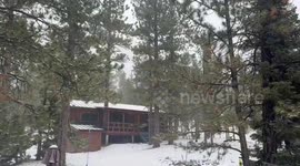 Heavy snowfall blankets mountain community in Mount Charleston, Nevada, USA