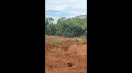 Indonesia landslide death toll rises as rescue teams search for survivors