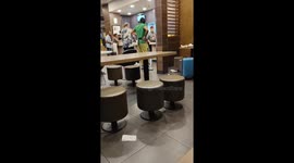 'How could you do this?' Vegetarian tourist distraught after eating meat burger in McDonald's