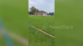 Non-league footy team couldn't play at home for a month - because of geese poo