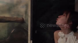 Girl Has a Conversation With a Lion 