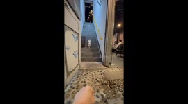 The Sneaky Tabby Steals the Treat! 