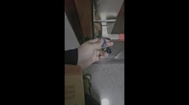 This Cat Demands Attention—Now! 