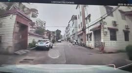 The Most Genius Way to Move a Stubborn Dog