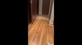 Cosmo Has So Much FOMO