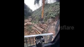 China: Excavator Works Like a Giant Human Hand to Load Trees