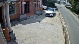 China: Dog Shocked After Owner Accidentally Runs Over Its Food Bowl