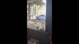 Lab Plays Fetch With Fellow Digging Enthusiasts