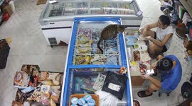 China: Caught on Camera: Sneaky Kitten Steals Meat from Owner’s Chopsticks