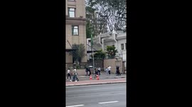 Puppy Riding on Man's Shoulders