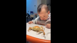 The Great Crab Confrontation 