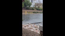 US: Las Vegas Under Flood Watch as Heavy Rain Hits Valley 2