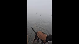 Young retriever hilariously drops, loses, and triumphantly retrieves duck—viral Instagram clip hits 174K views