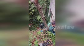 Spain: Police Officers Descend By Rope To Rescue Trapped Dog In Barbastro