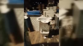 Israeli Settlers Vandalize Commercial Store in Nablus